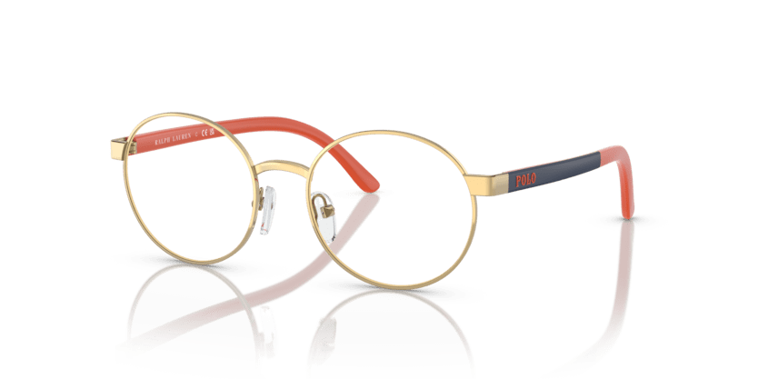 0PP8041 - Polo Prep - Gold - (Shiny Gold 9411) - 48 - 17 - 130 MM - Ardor Eyewear 8056597839457