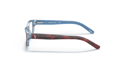 Shiny Havana / Azure - 0PP8518 8056597558648