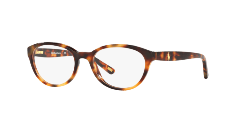 Shiny Spotty Tortoise - 0PP8526 8053672570526