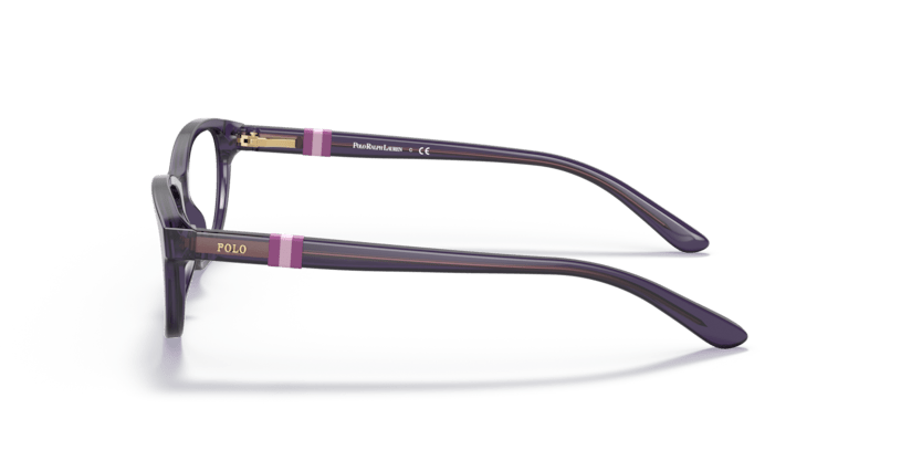 0PP8542 - Polo Prep - Violet - (Shiny Transparent Purple 5575) - 48 - 16 - 130 MM - Ardor Eyewear 8056597421591