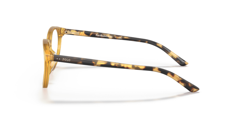 0PP8544U - Polo Prep - Tortoise - (Shiny Opal Honey 5005) - 46 - 16 - 130 MM - Ardor Eyewear 8056597596817