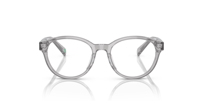 Shiny Transparent Grey - 0PP8546U 8056597829625