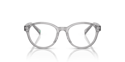 Shiny Transparent Grey - 0PP8546U 8056597829625