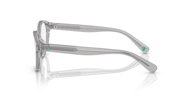 Shiny Transparent Grey - 0PP8546U 8056597829625