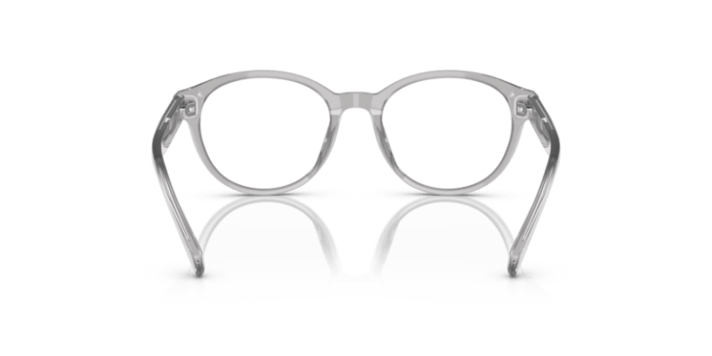 Shiny Transparent Grey - 0PP8546U 8056597829625