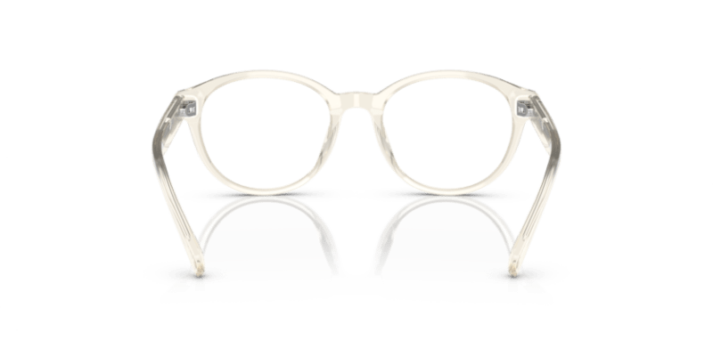 Shiny Transparent Pinot Grey - 0PP8546U 8056597829601