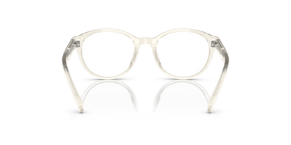 Shiny Transparent Pinot Grey - 0PP8546U 8056597829601