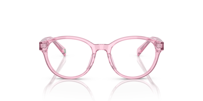 0PP8546U - Polo Prep - Pink - (Shiny Transparent Pink 6098) - 47 - 17 - 130 MM - Ardor Eyewear 8056597840880