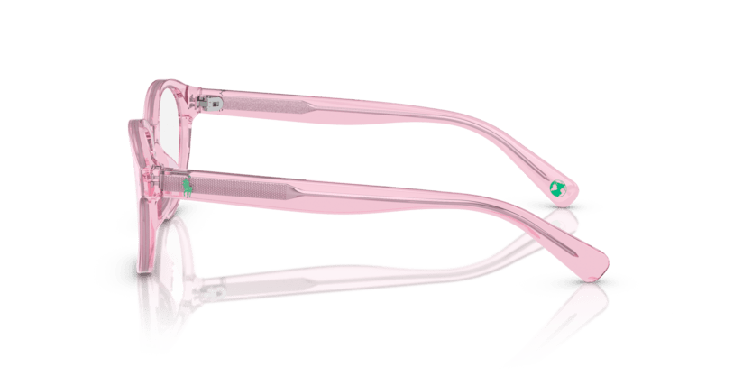 0PP8546U - Polo Prep - Pink - (Shiny Transparent Pink 6098) - 47 - 17 - 130 MM - Ardor Eyewear 8056597840880