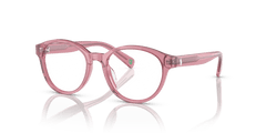 0PP8546U - Polo Prep - Pink - (Shiny Transparent Rose 5220) - 45 - 16 - 125 MM - Ardor Eyewear 8056262037355