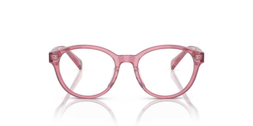 0PP8546U - Polo Prep - Pink - (Shiny Transparent Rose 5220) - 45 - 16 - 125 MM - Ardor Eyewear 8056262037355