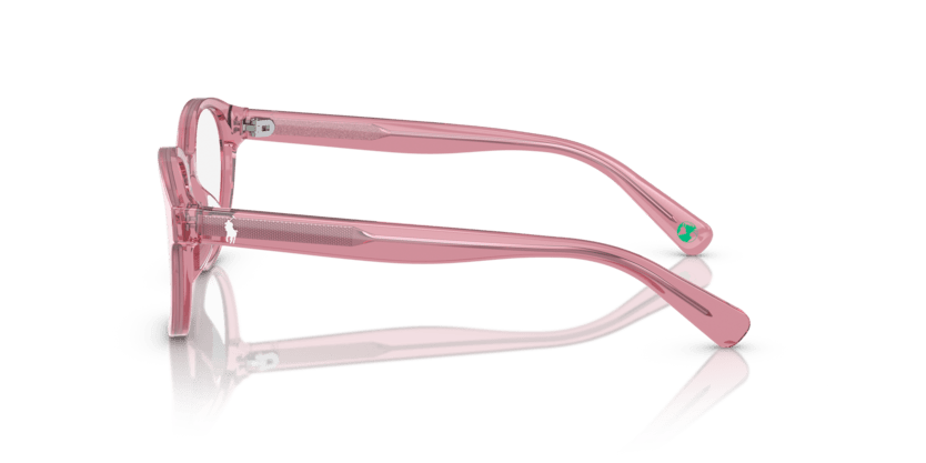 0PP8546U - Polo Prep - Pink - (Shiny Transparent Rose 5220) - 45 - 16 - 125 MM - Ardor Eyewear 8056262037355