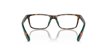 Shiny Havana - 0PP8547U 8056262040621