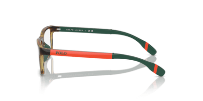 Shiny Havana - 0PP8547U 8056262040621