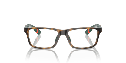 Shiny Havana - 0PP8547U 8056262040621