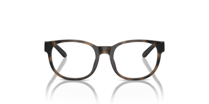 Shiny Dark Havana - 0PP8549U 8056262040997