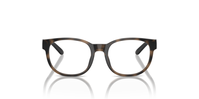 Shiny Dark Havana - 0PP8549U 8056262040997