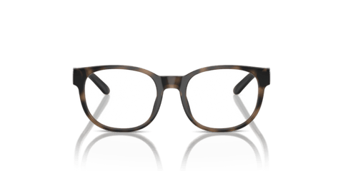 Shiny Dark Havana - 0PP8549U 8056262040997