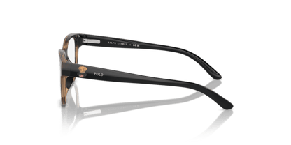 Shiny Dark Havana - 0PP8549U 8056262040997