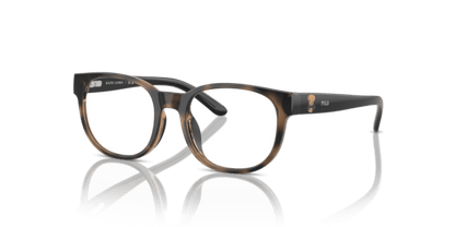 Shiny Dark Havana - 0PP8549U 8056262040997