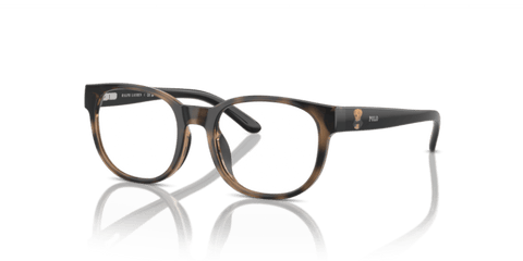 Shiny Dark Havana - 0PP8549U 8056262040997