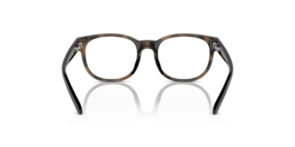 Shiny Dark Havana - 0PP8549U 8056262040997