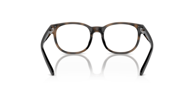 Shiny Dark Havana - 0PP8549U 8056262040997