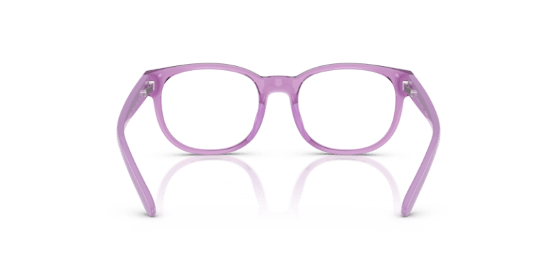 Shiny Transparent Violet - 0PP8549U 8056262239148