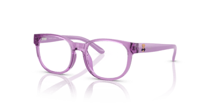 Shiny Transparent Violet - 0PP8549U 8056262239148