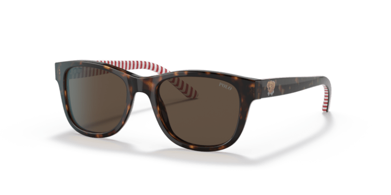 Shiny Dark Havana - 0PP9501 8056597421638