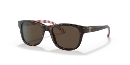 Shiny Dark Havana - 0PP9501 8056597421638