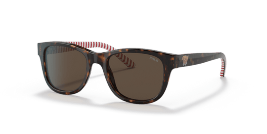 Shiny Dark Havana - 0PP9501 8056597421638