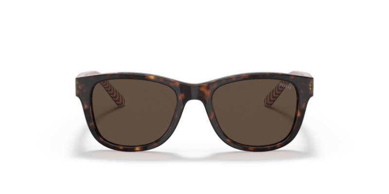 Shiny Dark Havana - 0PP9501 8056597421638