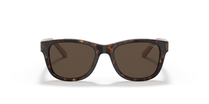 Shiny Dark Havana - 0PP9501 8056597421638