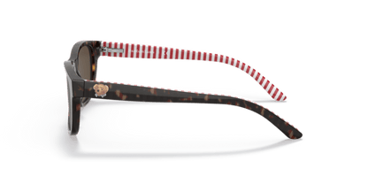 Shiny Dark Havana - 0PP9501 8056597421638