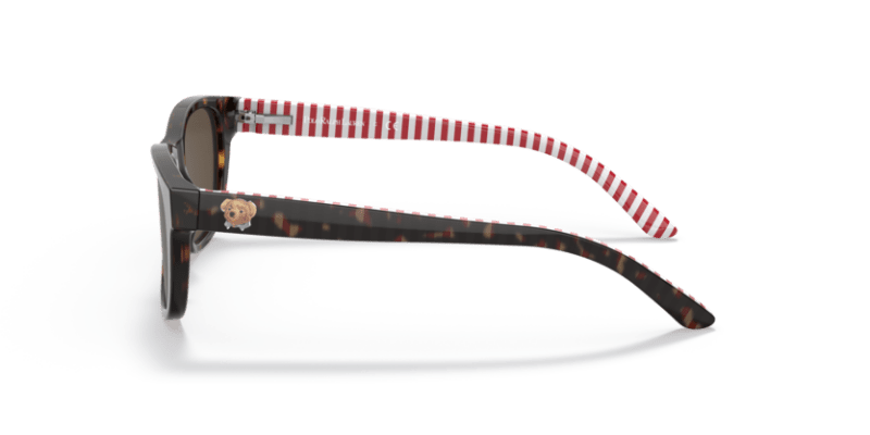 Shiny Dark Havana - 0PP9501 8056597421638