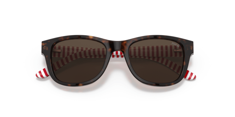 Shiny Dark Havana - 0PP9501 8056597421638