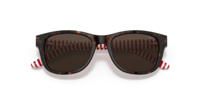 Shiny Dark Havana - 0PP9501 8056597421638