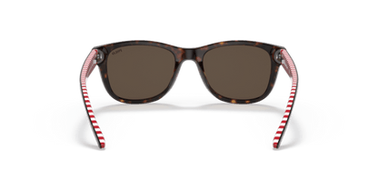 Shiny Dark Havana - 0PP9501 8056597421638