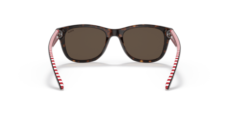 Shiny Dark Havana - 0PP9501 8056597421638