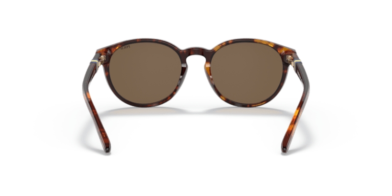 Shiny New Jerry Havana - 0PP9502 8056597421676