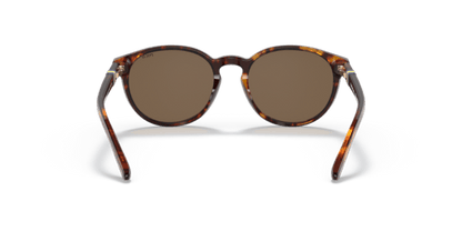 Shiny New Jerry Havana - 0PP9502 8056597421676