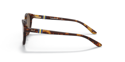 Shiny New Jerry Havana - 0PP9502 8056597421676