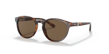 Shiny New Jerry Havana - 0PP9502 8056597421676