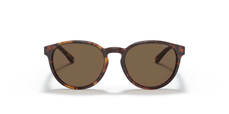 Shiny New Jerry Havana - 0PP9502 8056597421676