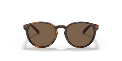 Shiny New Jerry Havana - 0PP9502 8056597421676