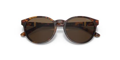 Shiny New Jerry Havana - 0PP9502 8056597421676