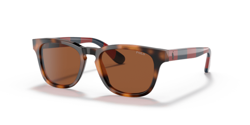 Shiny Jc Tortoise - 0PP9503 8056597558709