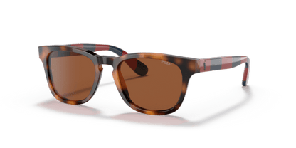 Shiny Jc Tortoise - 0PP9503 8056597558709