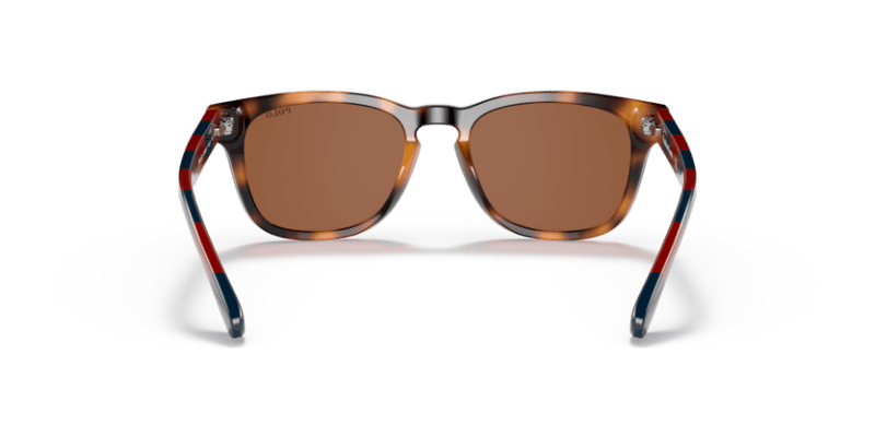 Shiny Jc Tortoise - 0PP9503 8056597558709